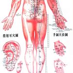 Akupunkturni body - dráhy - zadní strana člověka - nohy